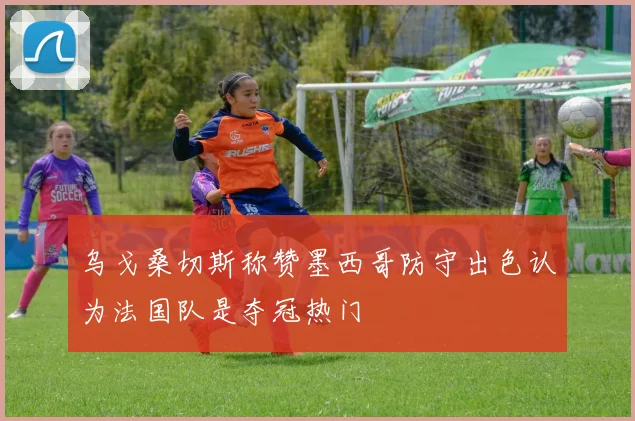 乌戈桑切斯称赞墨西哥防守出色认为法国队是夺冠热门