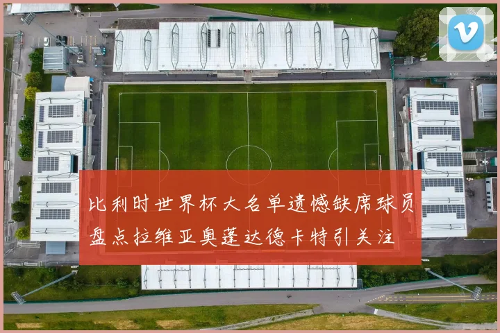 比利时世界杯大名单遗憾缺席球员盘点拉维亚奥蓬达德卡特引关注