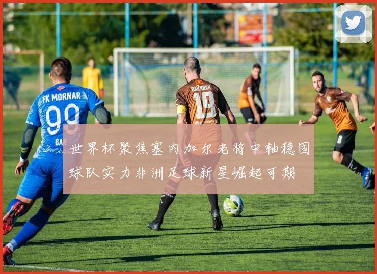 世界杯聚焦塞内加尔老将中轴稳固球队实力非洲足球新星崛起可期