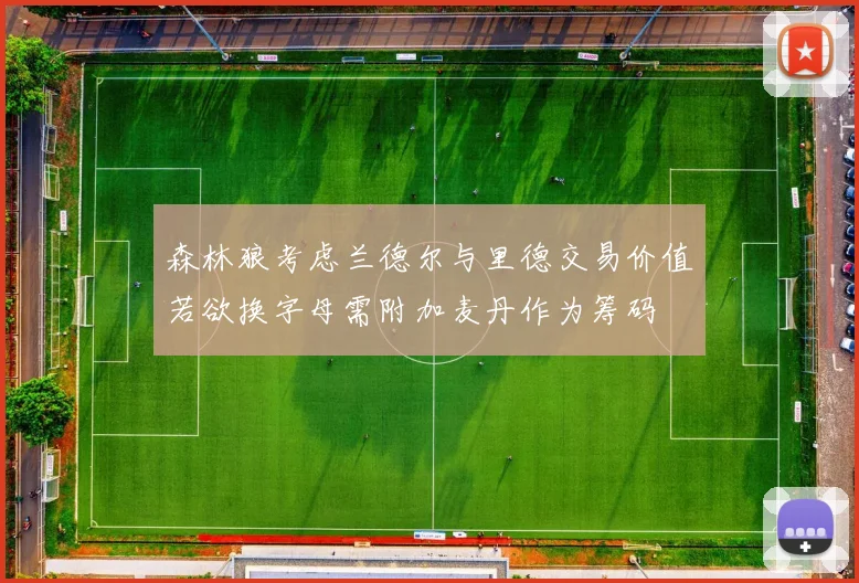 森林狼考虑兰德尔与里德交易价值若欲换字母需附加麦丹作为筹码