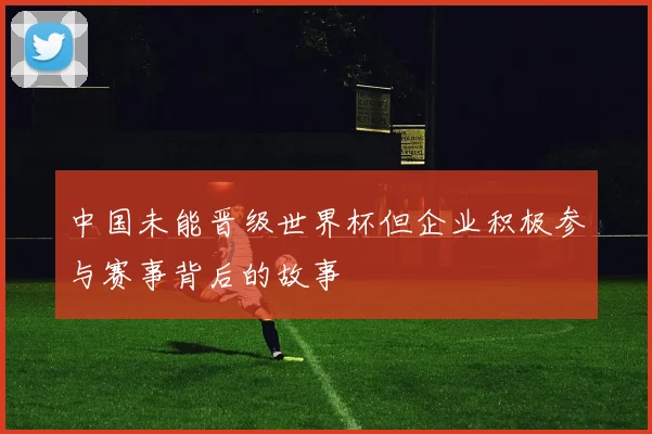 中国未能晋级世界杯但企业积极参与赛事背后的故事